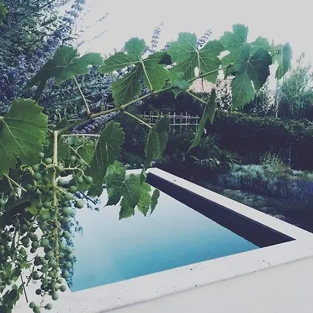 Domaine Fontaine * Visan